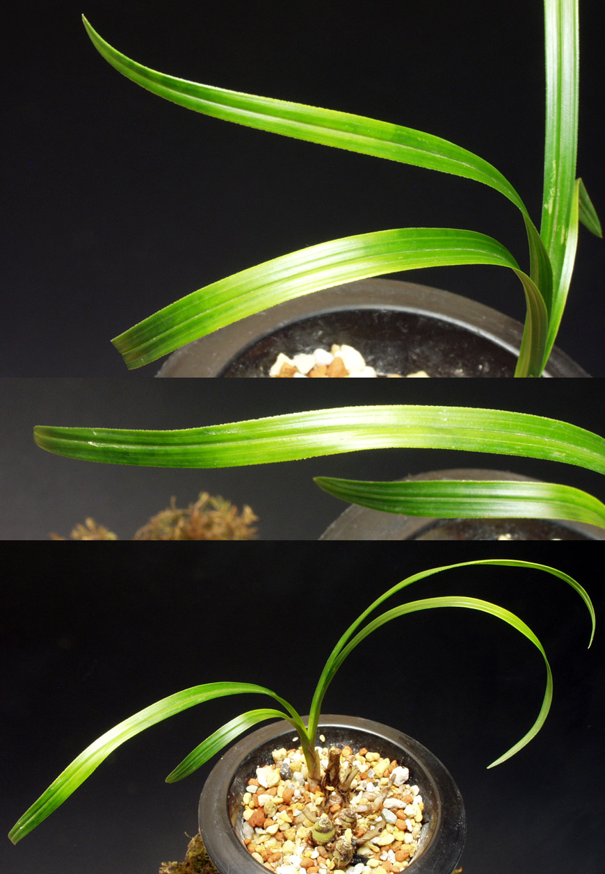 ������ ū������ �� �� �ֽ��ϴ�.