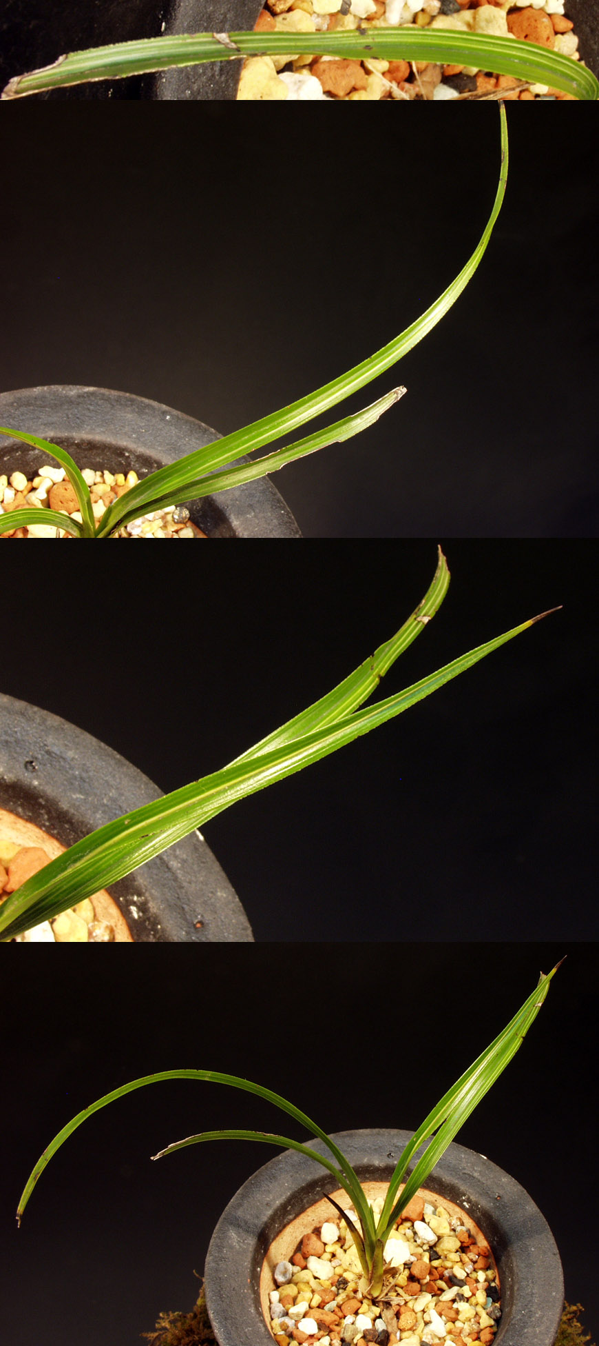 ������ ū������ �� �� �ֽ��ϴ�.