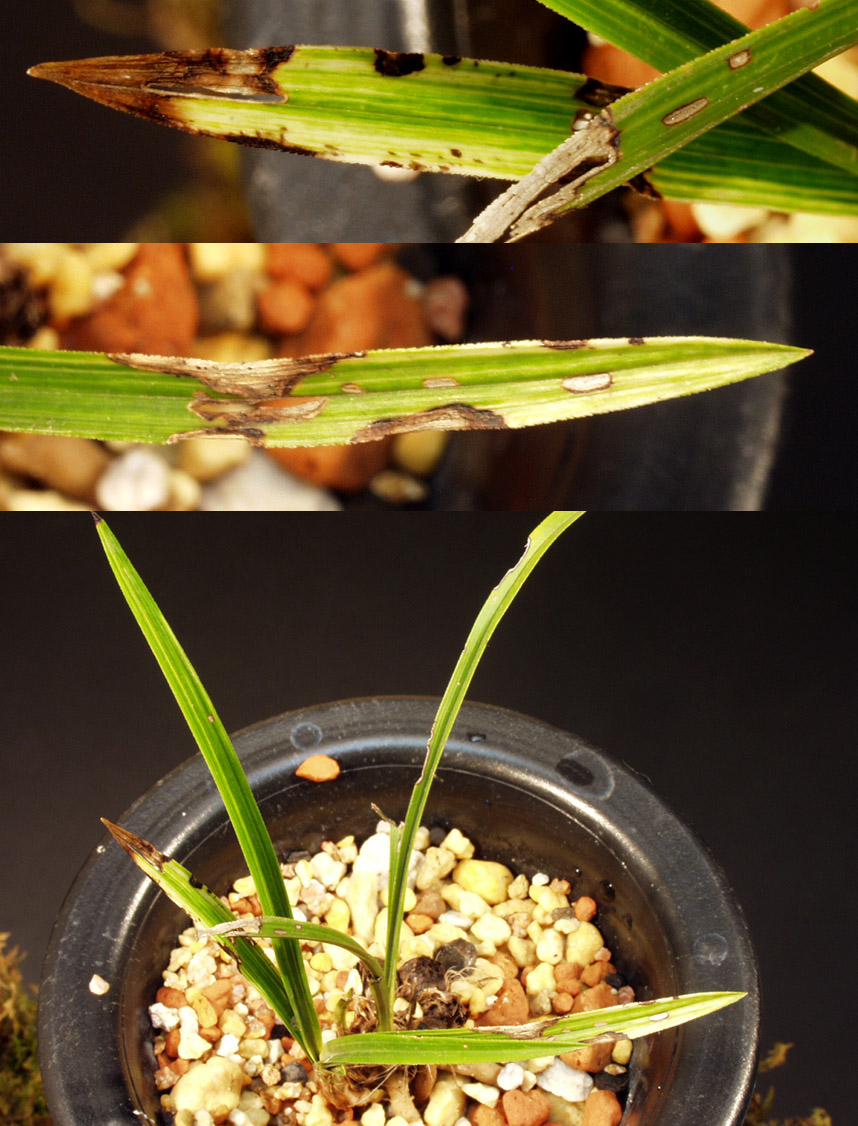 ������ ū������ �� �� �ֽ��ϴ�.