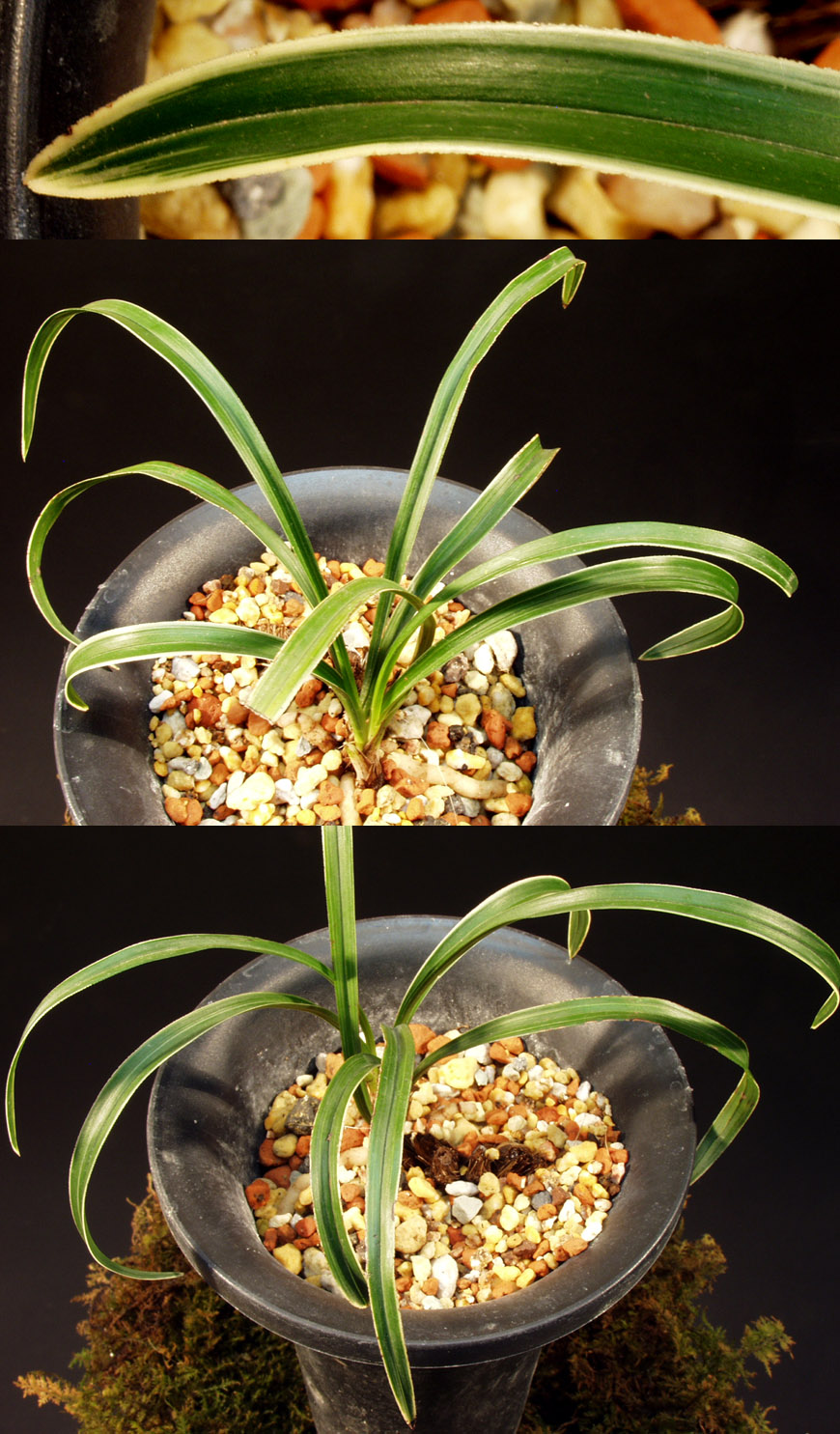 ������ ū������ �� �� �ֽ��ϴ�.