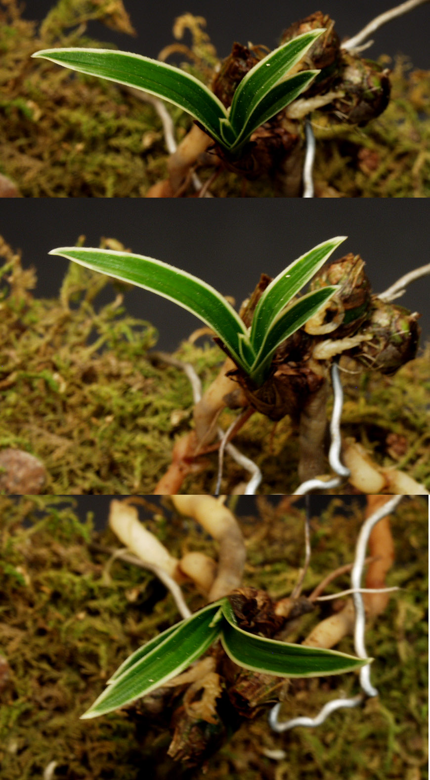 ������ ū������ �� �� �ֽ��ϴ�.