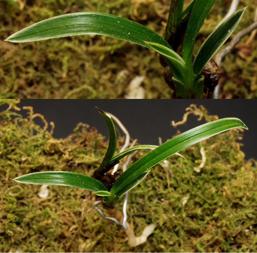 ������ ū������ �� �� �ֽ��ϴ�.