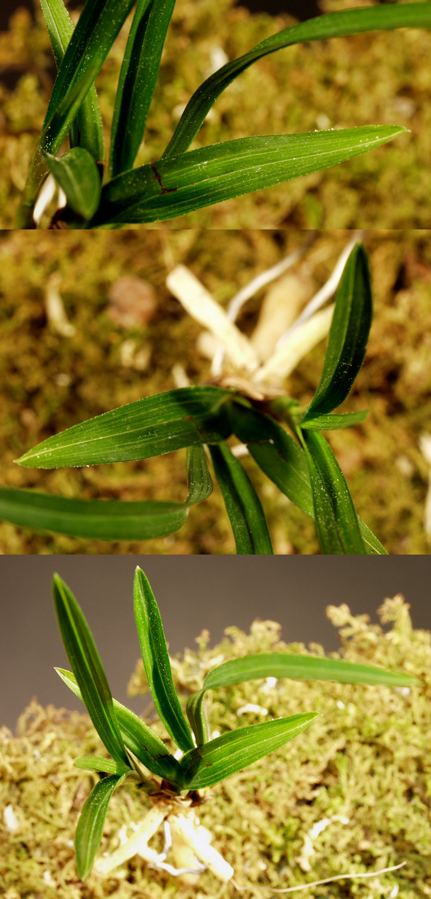 ������ ū������ �� �� �ֽ��ϴ�.