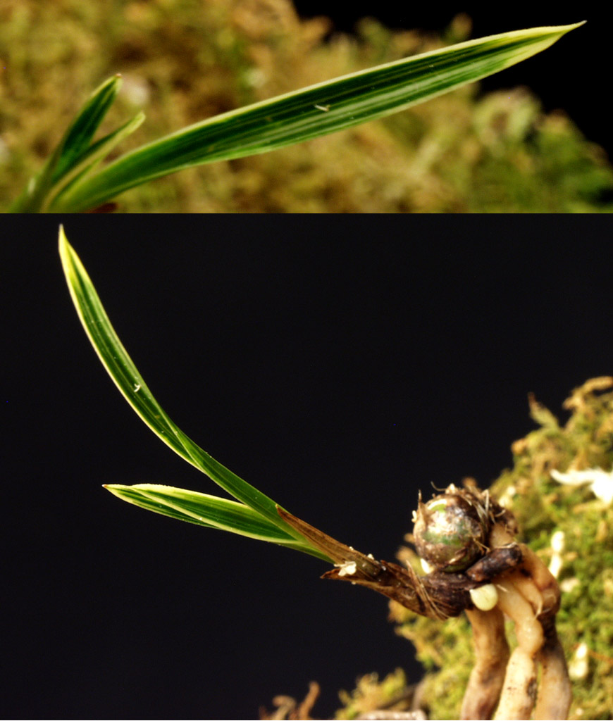 ������ ū������ �� �� �ֽ��ϴ�.