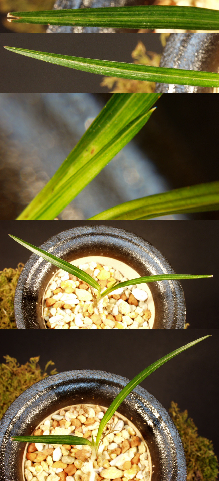 ������ ū������ �� �� �ֽ��ϴ�.