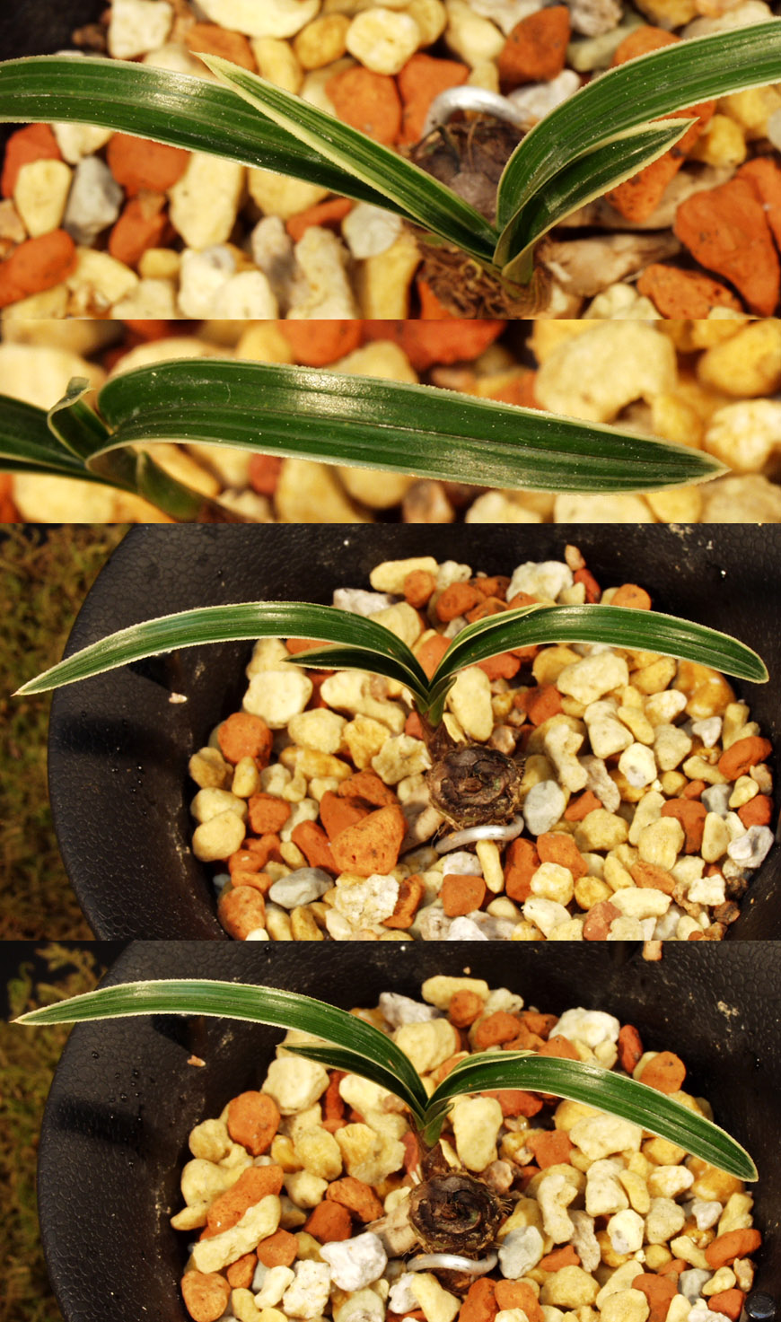 ������ ū������ �� �� �ֽ��ϴ�.