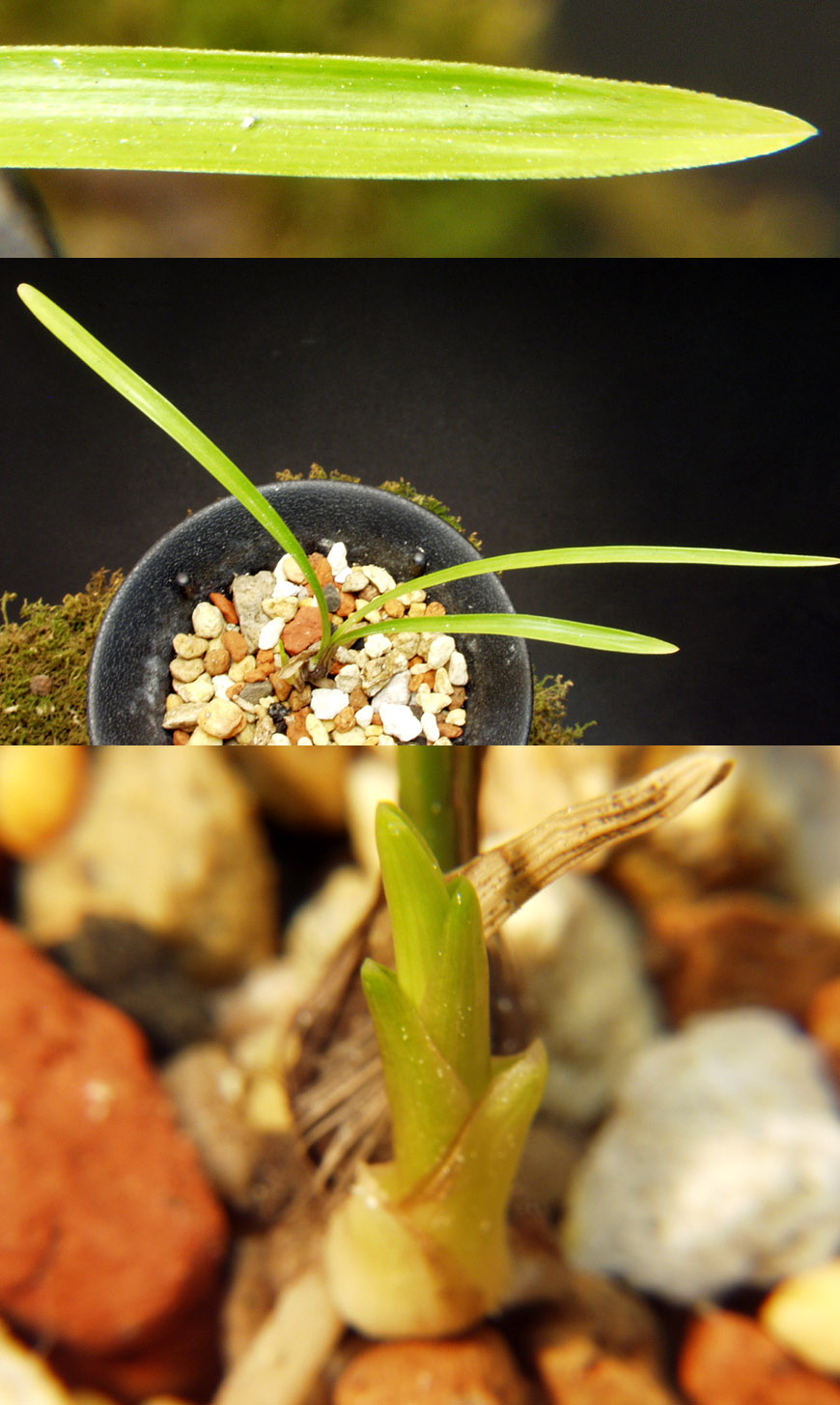 ������ ū������ �� �� �ֽ��ϴ�.