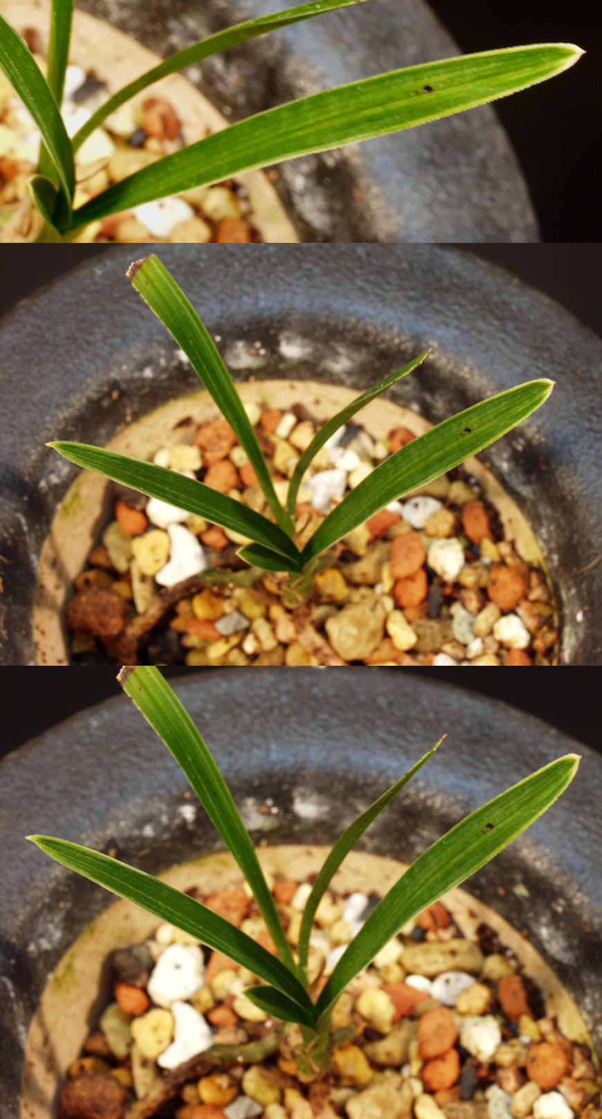 ������ ū������ �� �� �ֽ��ϴ�.