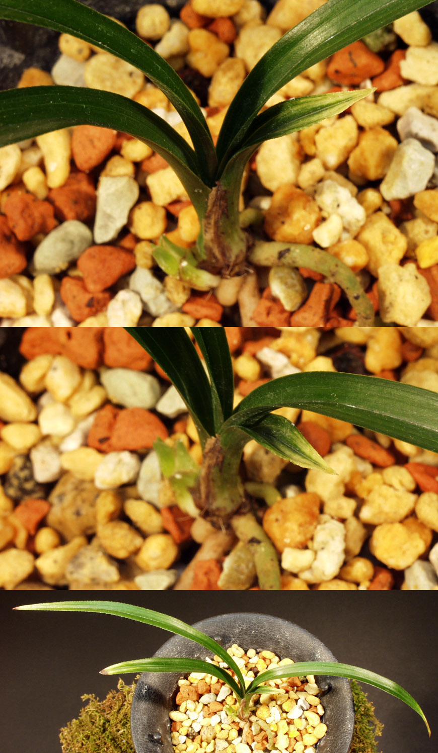 ������ ū������ �� �� �ֽ��ϴ�.