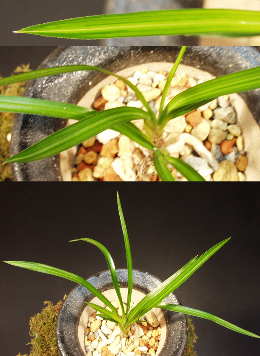 ������ ū������ �� �� �ֽ��ϴ�.