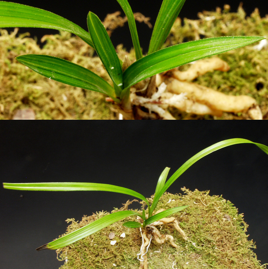 ������ ū������ �� �� �ֽ��ϴ�.