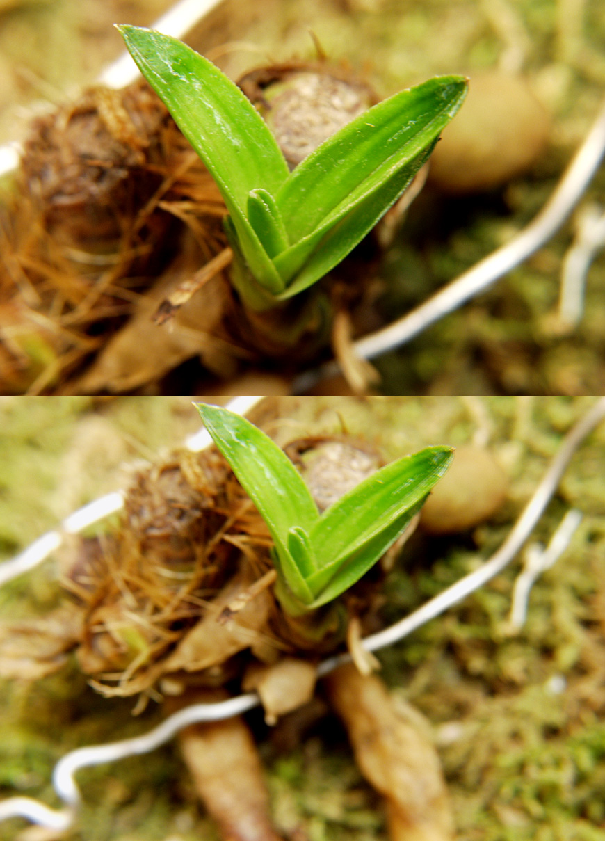 ������ ū������ �� �� �ֽ��ϴ�.