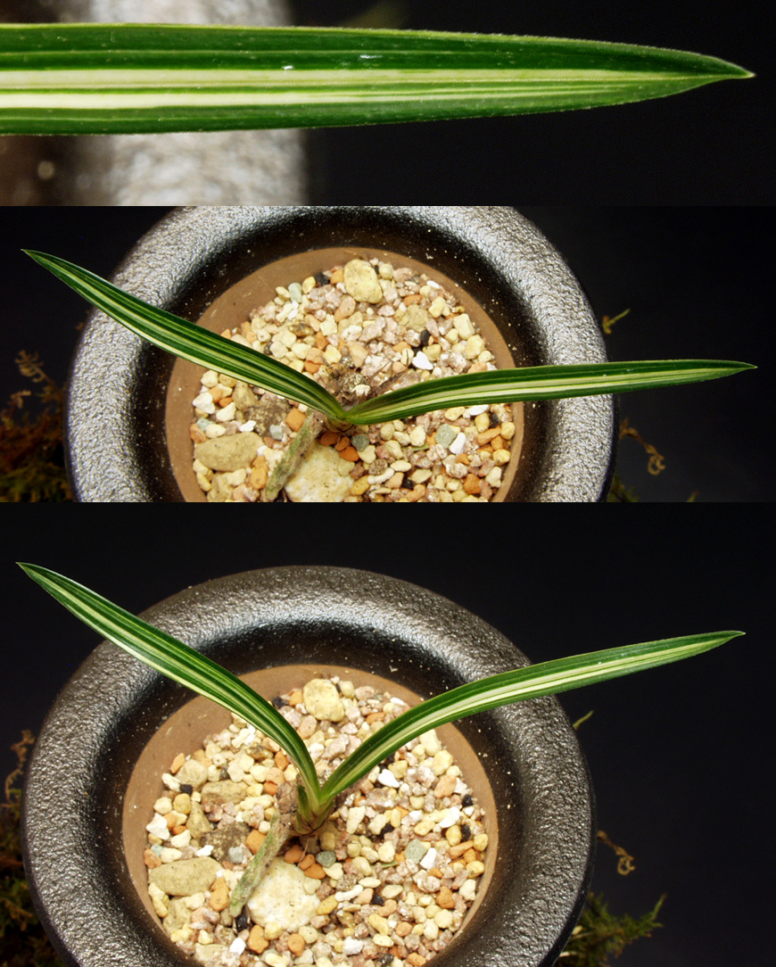 ������ ū������ �� �� �ֽ��ϴ�.