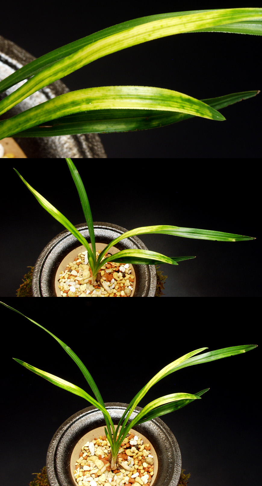 ������ ū������ �� �� �ֽ��ϴ�.