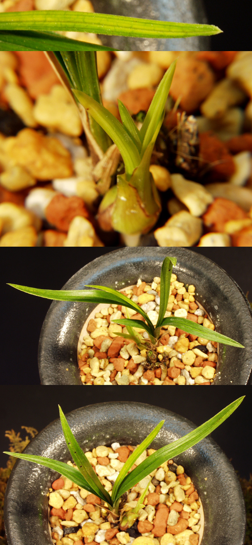 ������ ū������ �� �� �ֽ��ϴ�.