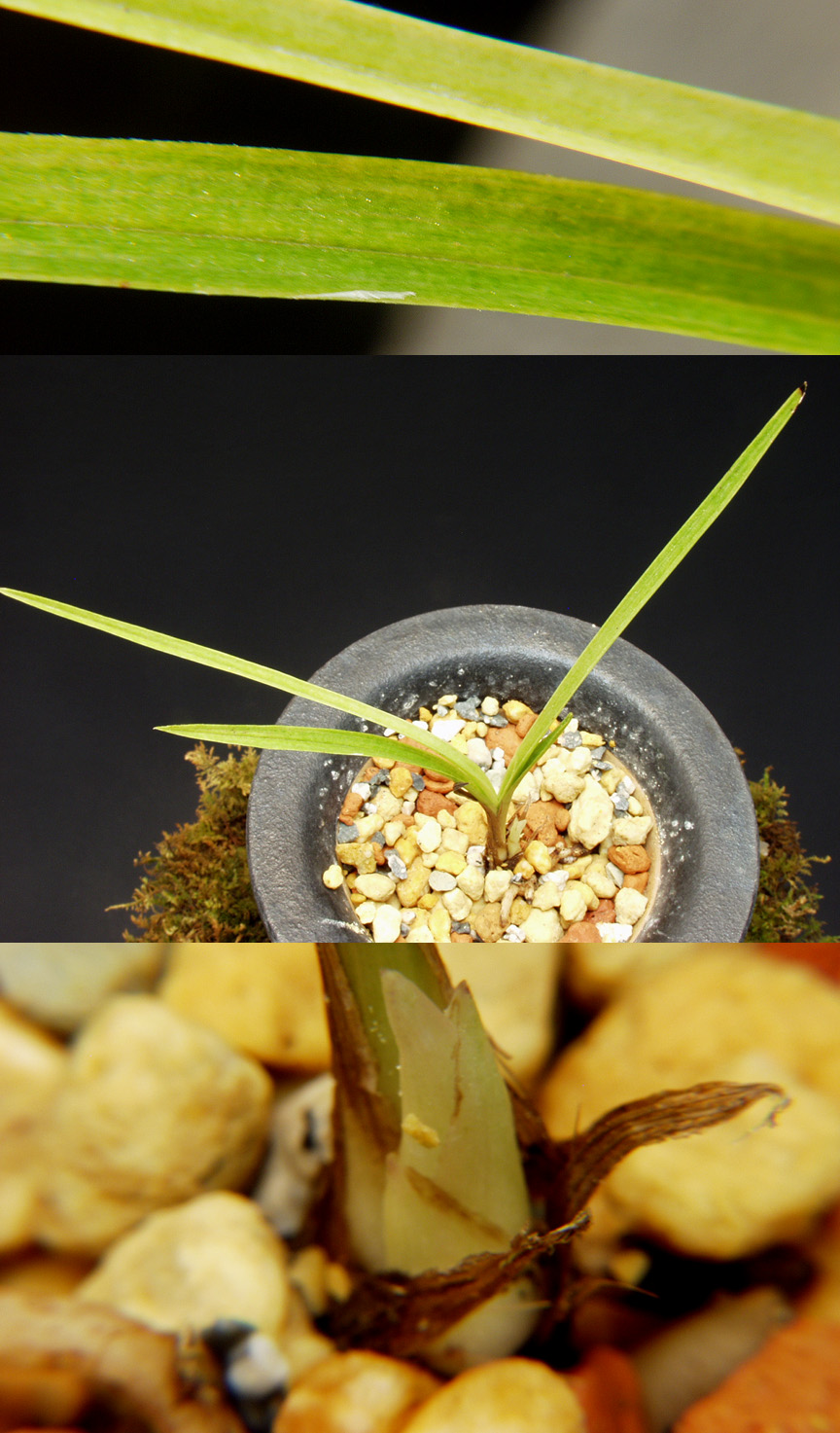 ������ ū������ �� �� �ֽ��ϴ�.