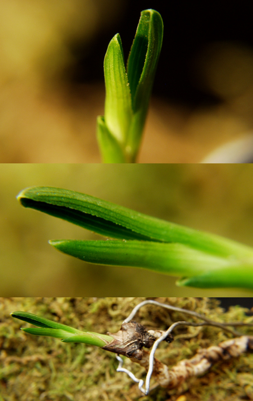 ������ ū������ �� �� �ֽ��ϴ�.