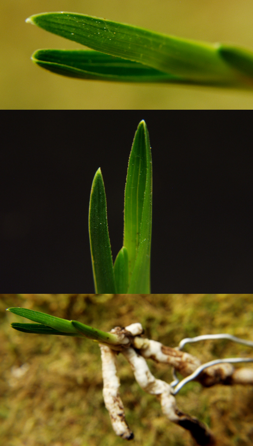 ������ ū������ �� �� �ֽ��ϴ�.