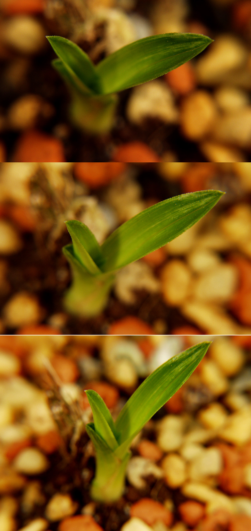 ������ ū������ �� �� �ֽ��ϴ�.