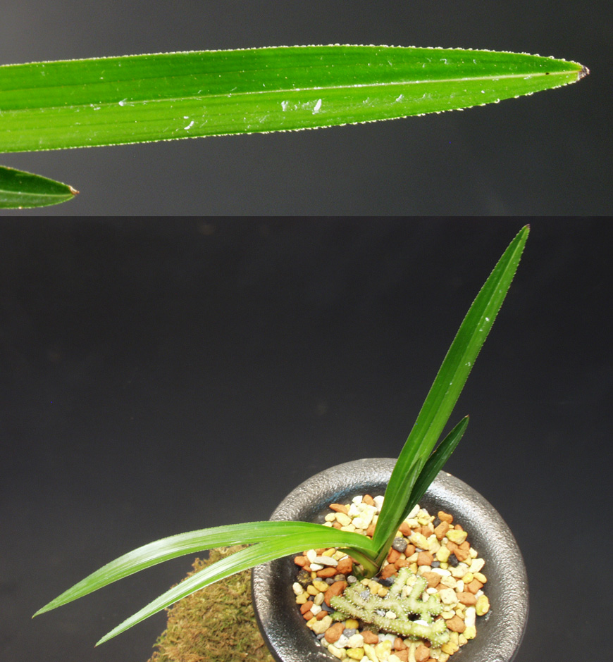 ������ ū������ �� �� �ֽ��ϴ�.