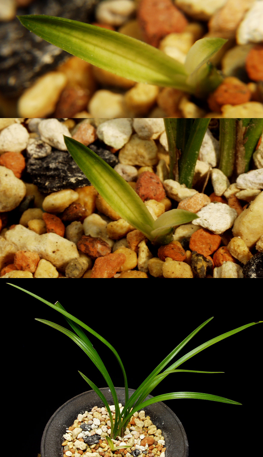 ������ ū������ �� �� �ֽ��ϴ�.