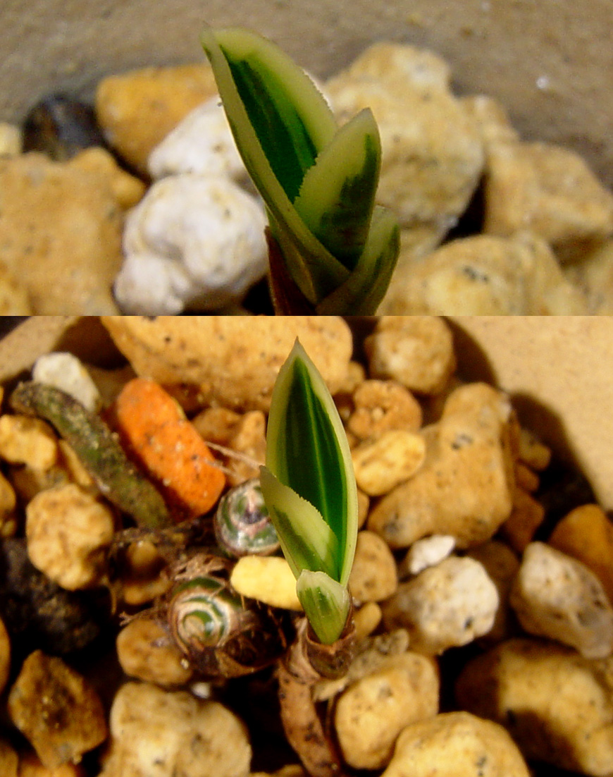 ������ ū������ �� �� �ֽ��ϴ�.