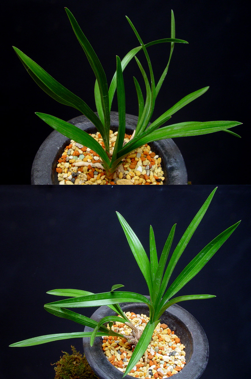 ������ ū������ �� �� �ֽ��ϴ�.