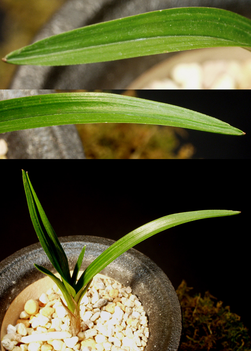 ������ ū������ �� �� �ֽ��ϴ�.