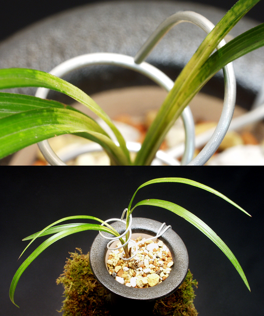 ������ ū������ �� �� �ֽ��ϴ�.