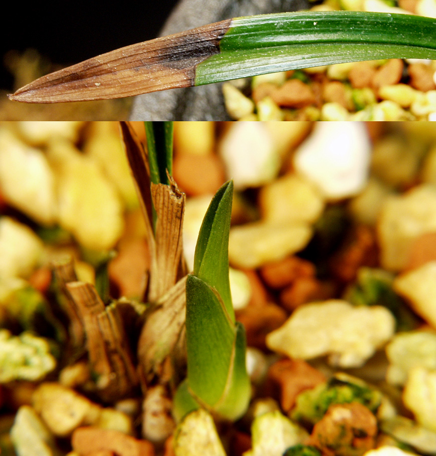 ������ ū������ �� �� �ֽ��ϴ�.