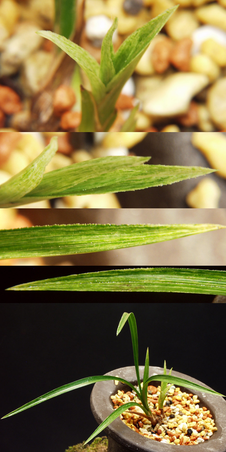 ������ ū������ �� �� �ֽ��ϴ�.