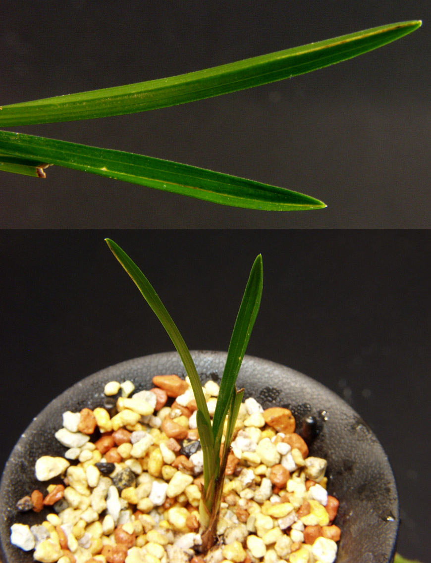 ������ ū������ �� �� �ֽ��ϴ�.