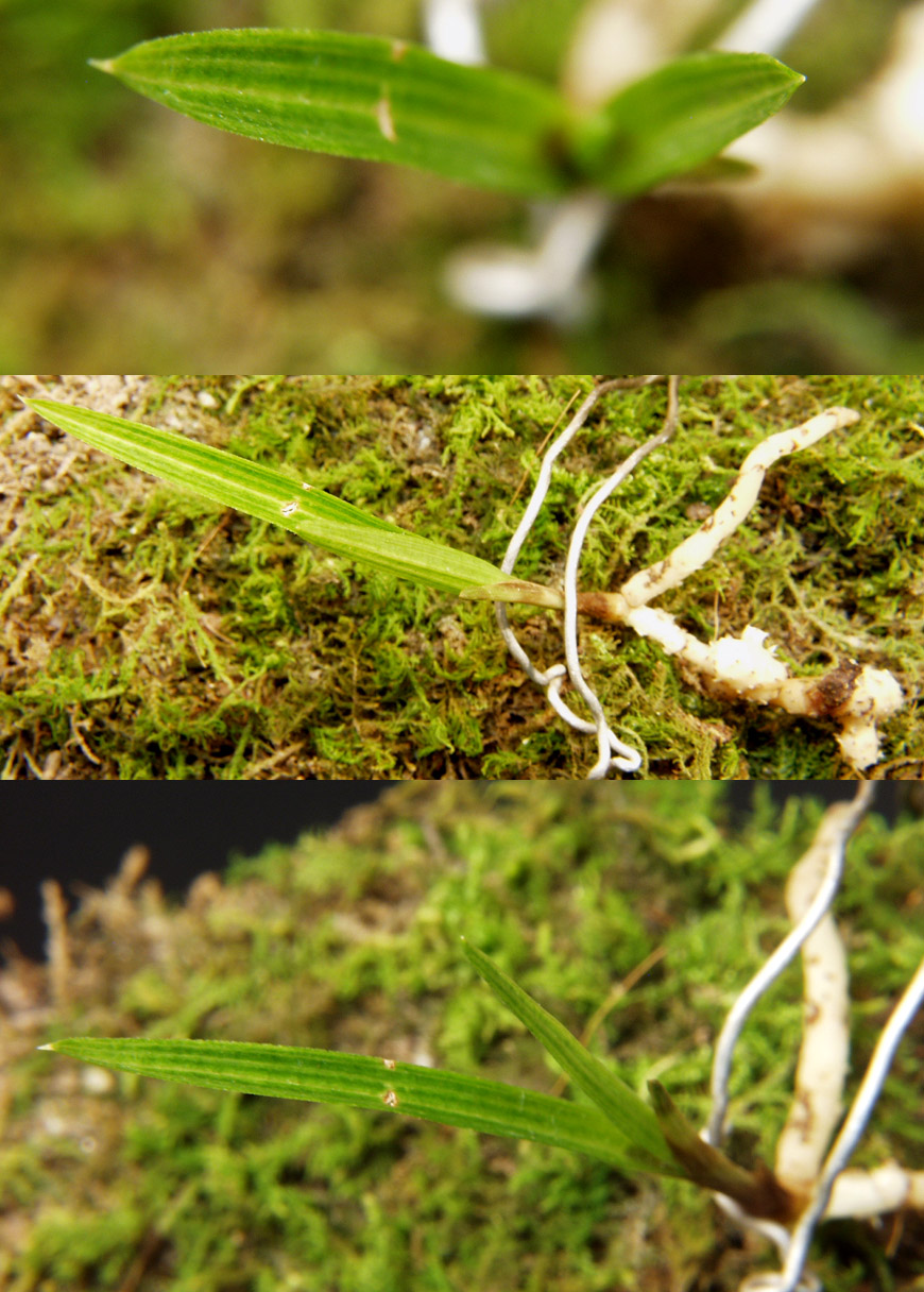 ������ ū������ �� �� �ֽ��ϴ�.