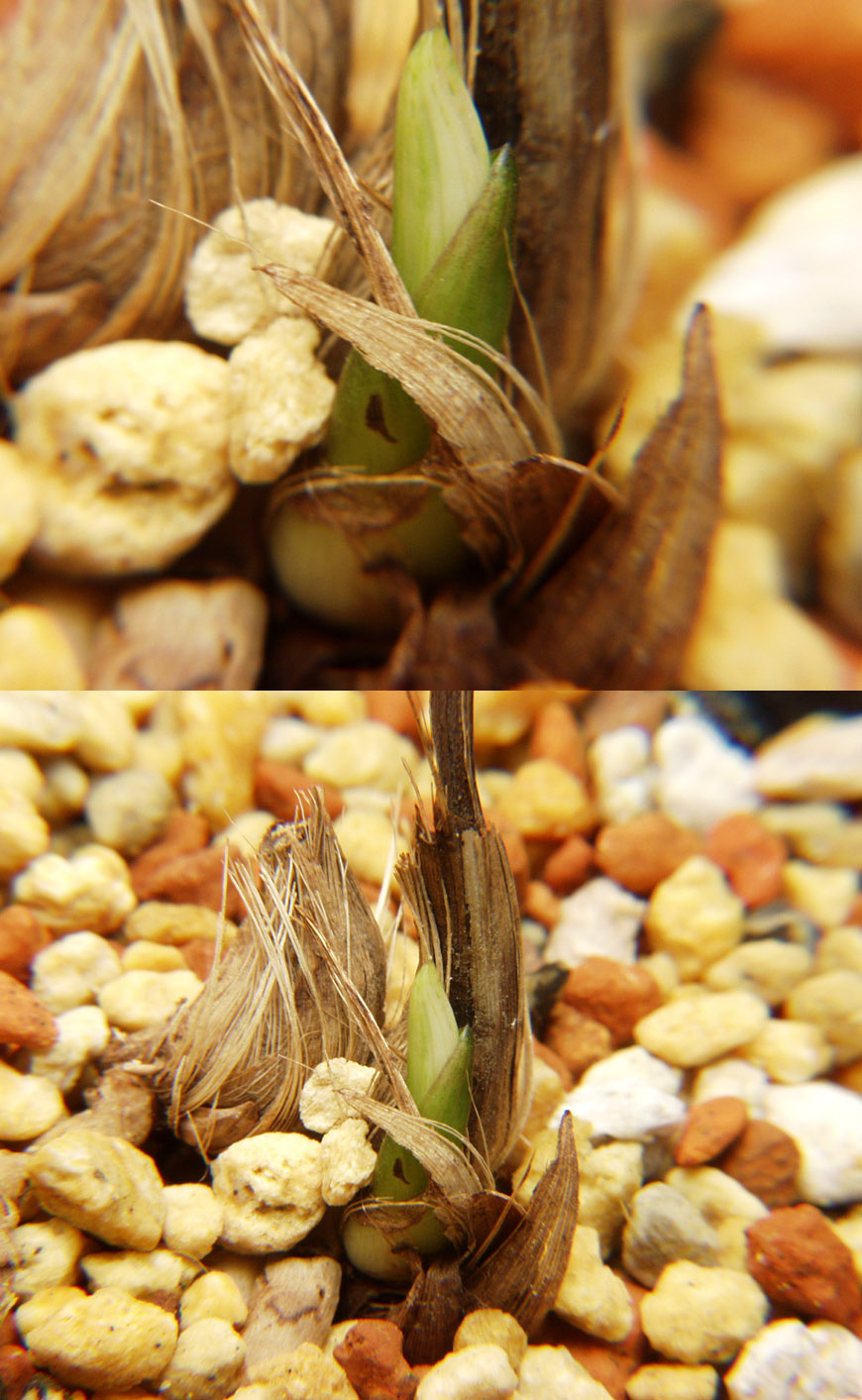 ������ ū������ �� �� �ֽ��ϴ�.