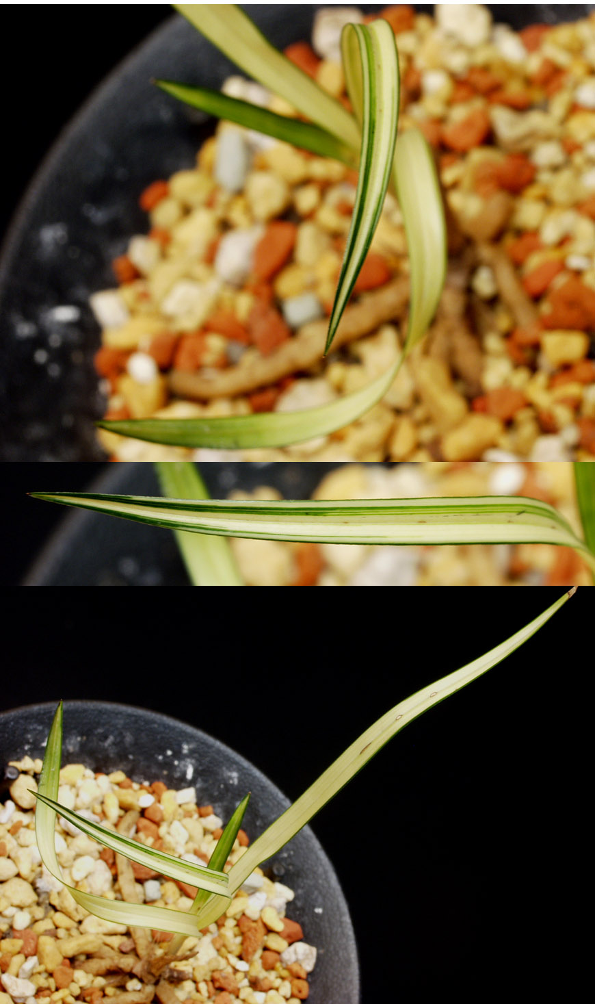 ������ ū������ �� �� �ֽ��ϴ�.