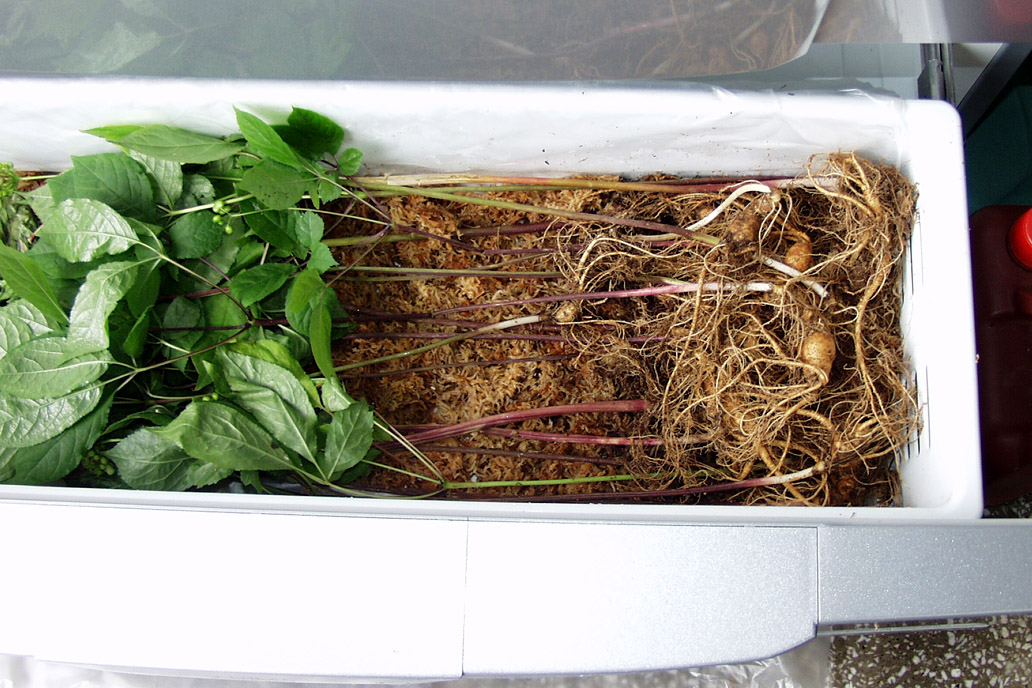 ������ ū������ �� �� �ֽ��ϴ�.