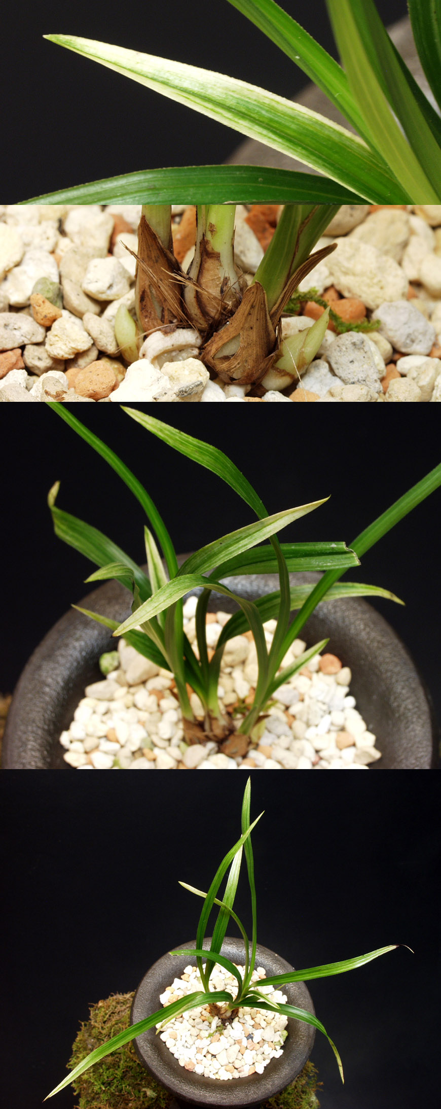 ������ ū������ �� �� �ֽ��ϴ�.