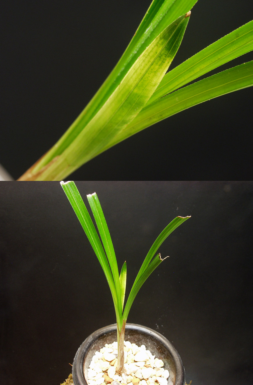 ������ ū������ �� �� �ֽ��ϴ�.