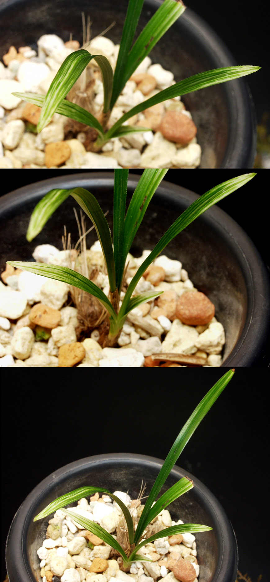 ������ ū������ �� �� �ֽ��ϴ�.