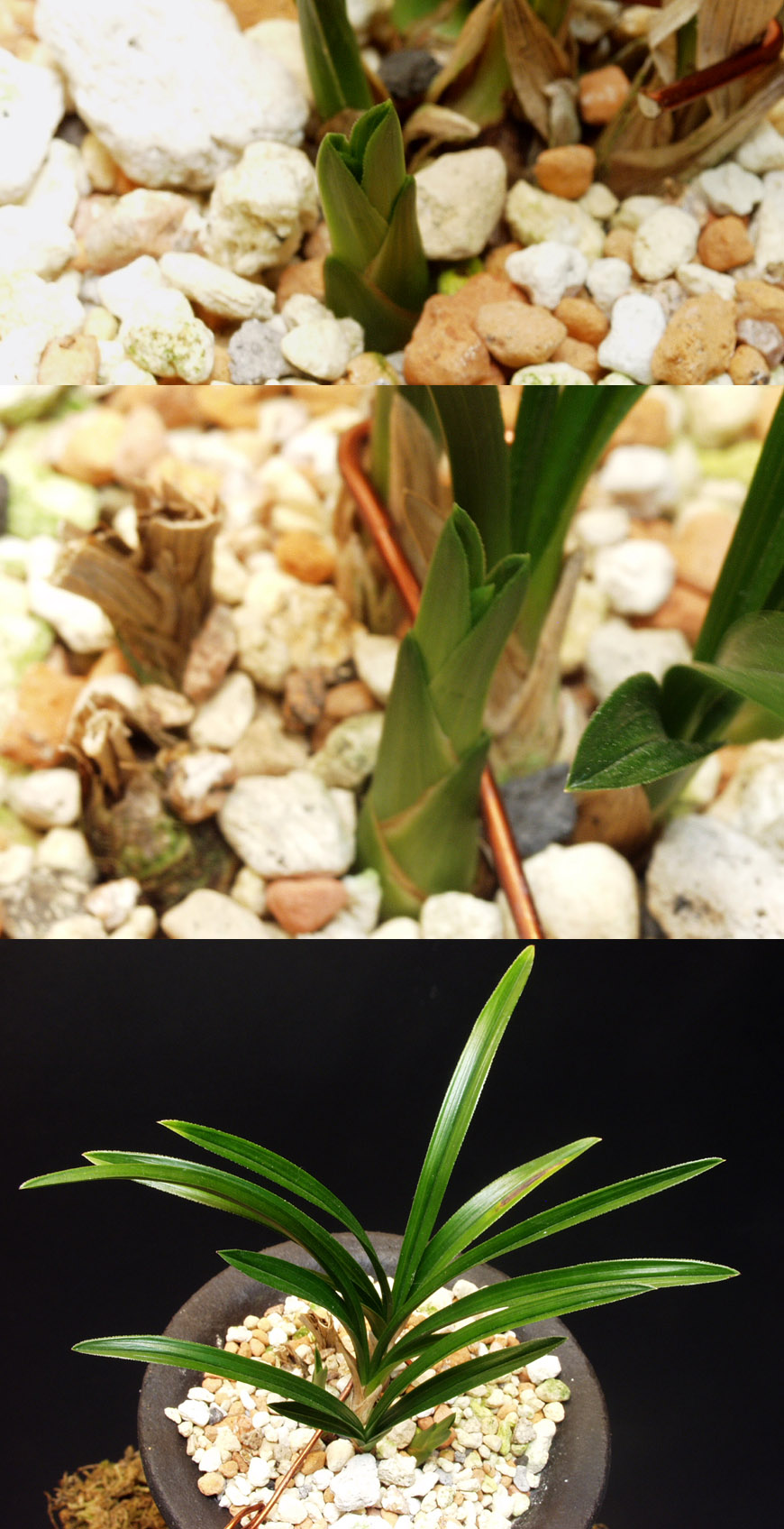 ������ ū������ �� �� �ֽ��ϴ�.