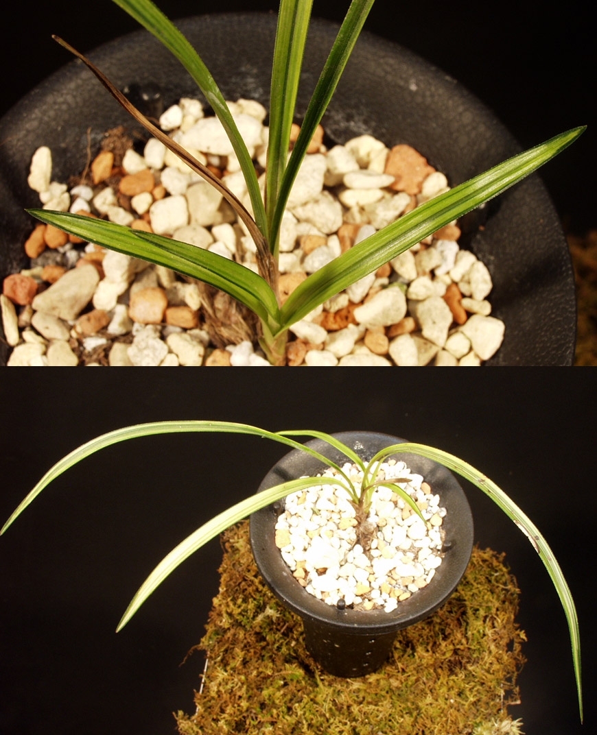 ������ ū������ �� �� �ֽ��ϴ�.