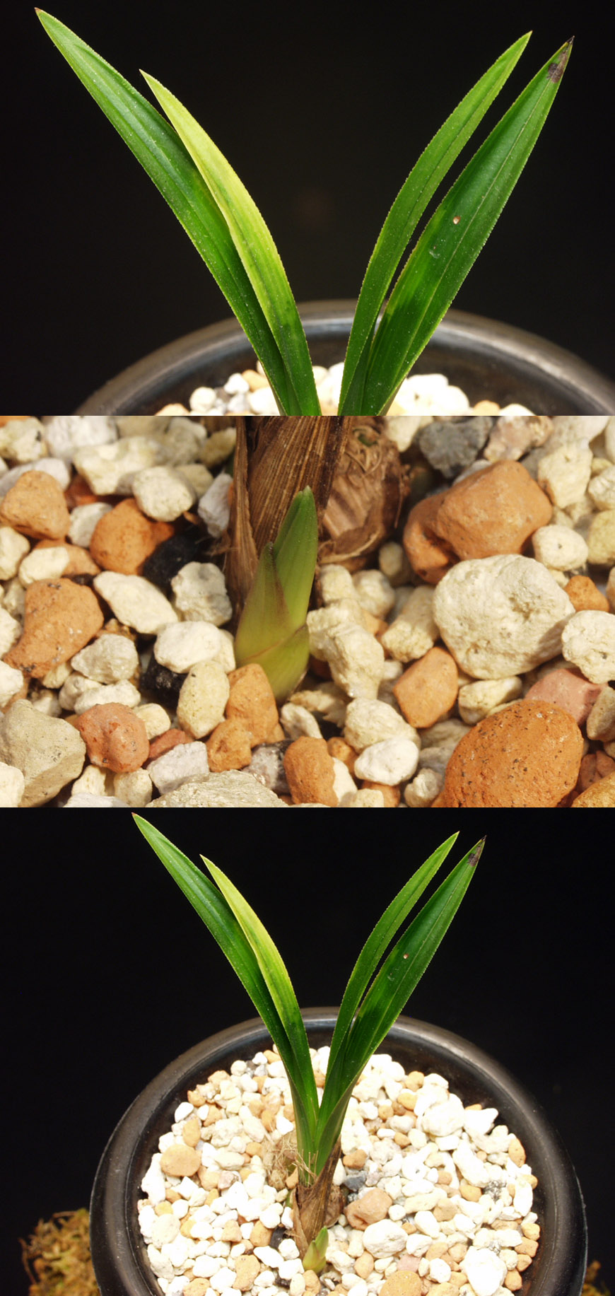 ������ ū������ �� �� �ֽ��ϴ�.