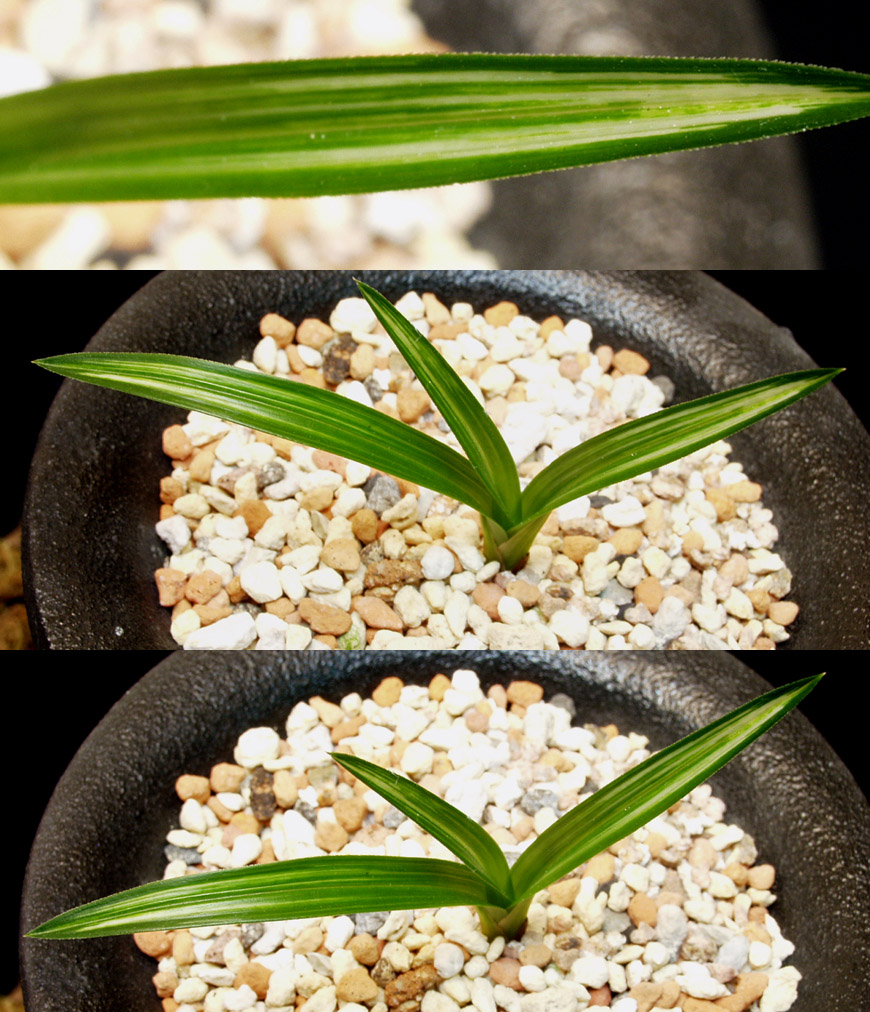 ������ ū������ �� �� �ֽ��ϴ�.