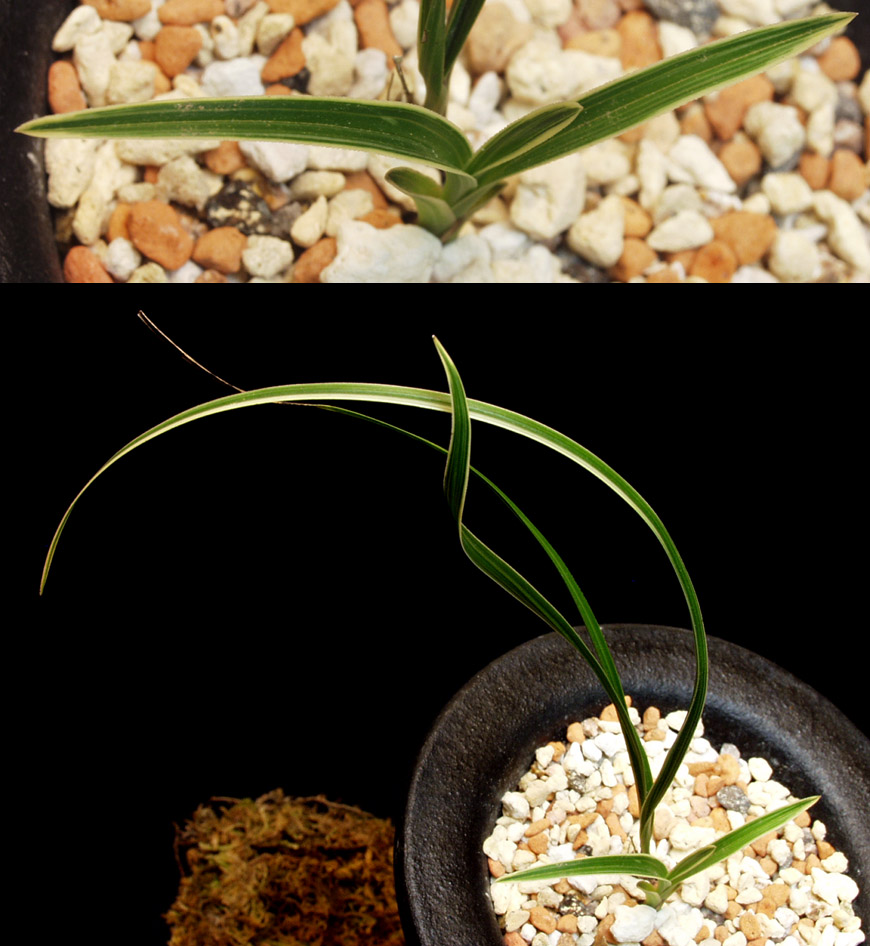 ������ ū������ �� �� �ֽ��ϴ�.