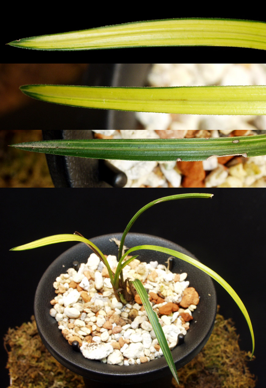 ������ ū������ �� �� �ֽ��ϴ�.