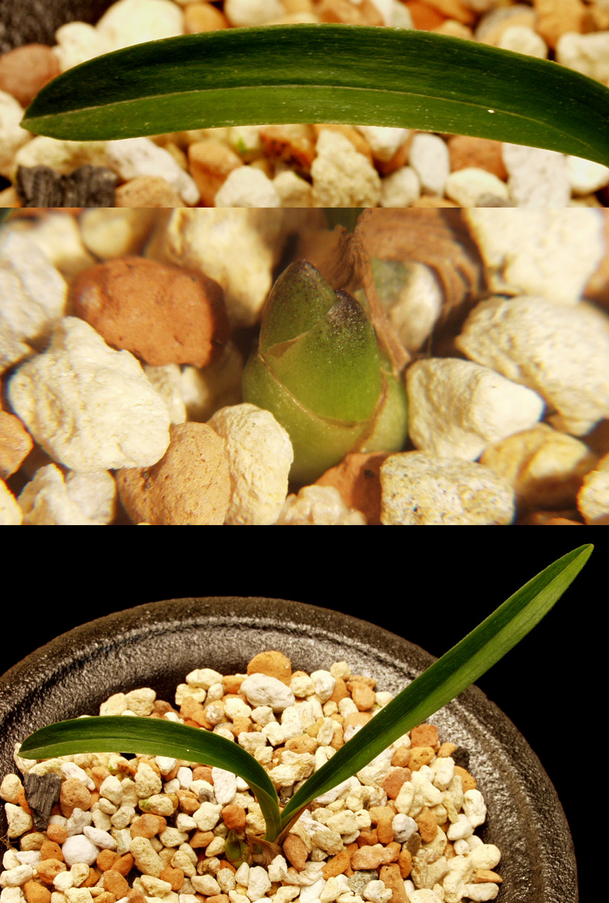 ������ ū������ �� �� �ֽ��ϴ�.