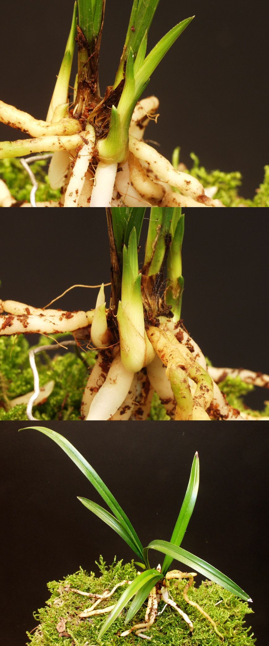 ������ ū������ �� �� �ֽ��ϴ�.