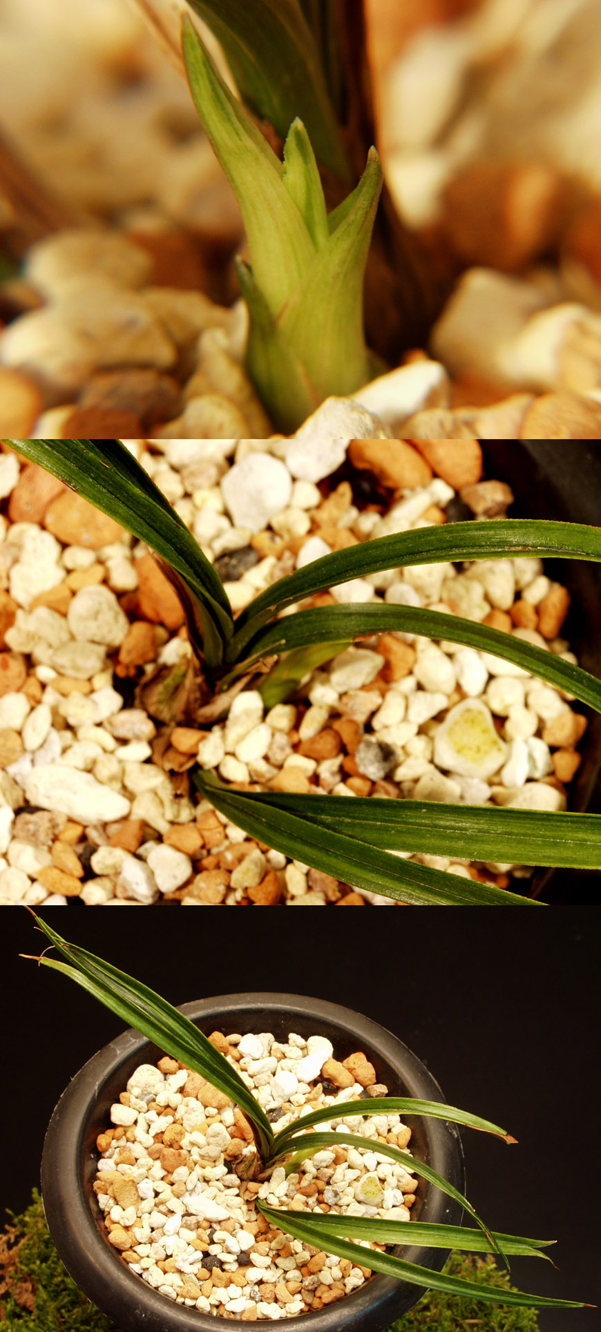 ������ ū������ �� �� �ֽ��ϴ�.