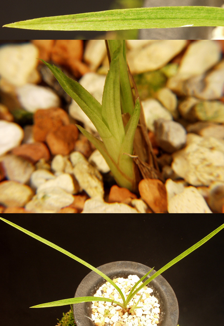 ������ ū������ �� �� �ֽ��ϴ�.