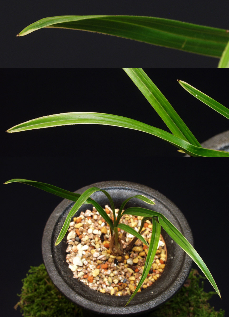 ������ ū������ �� �� �ֽ��ϴ�.